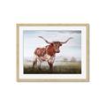 Picture of Looking over you _GroupedProduct_Rectangle_Landscape_Framed_Matted_