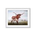 Picture of Looking over you _GroupedProduct_Rectangle_Landscape_Framed_Matted_