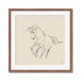 Picture of Sketched Horse I  _GroupedProduct_Square_Framed_Matted_