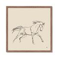 Picture of Sketched Horse II  _GroupedProduct_Square_Framed_Matted_