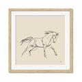 Picture of Sketched Horse II  _GroupedProduct_Square_Framed_Matted_