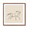 Picture of Sketched Horse II  _GroupedProduct_Square_Framed_Matted_