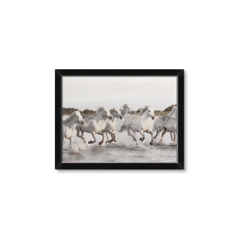 Picture of Horses Running in Water _GroupedProduct_Rectangle_Landscape_Photography _GroupedProduct_Rectangle_Landscape_Framed_Matted_