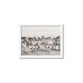 Picture of Horses Running in Water _GroupedProduct_Rectangle_Landscape_Photography _GroupedProduct_Rectangle_Landscape_Framed_Matted_