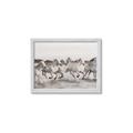 Picture of Horses Running in Water _GroupedProduct_Rectangle_Landscape_Photography _GroupedProduct_Rectangle_Landscape_Framed_Matted_