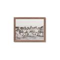 Picture of Horses Running in Water _GroupedProduct_Rectangle_Landscape_Photography _GroupedProduct_Rectangle_Landscape_Framed_Matted_