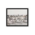 Picture of Horses Running in Water _GroupedProduct_Rectangle_Landscape_Photography _GroupedProduct_Rectangle_Landscape_Framed_Matted_