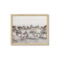 Picture of Horses Running in Water _GroupedProduct_Rectangle_Landscape_Photography _GroupedProduct_Rectangle_Landscape_Framed_Matted_