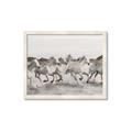 Picture of Horses Running in Water _GroupedProduct_Rectangle_Landscape_Photography _GroupedProduct_Rectangle_Landscape_Framed_Matted_