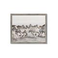 Picture of Horses Running in Water _GroupedProduct_Rectangle_Landscape_Photography _GroupedProduct_Rectangle_Landscape_Framed_Matted_