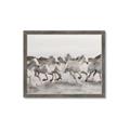 Picture of Horses Running in Water _GroupedProduct_Rectangle_Landscape_Photography _GroupedProduct_Rectangle_Landscape_Framed_Matted_