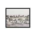 Picture of Horses Running in Water _GroupedProduct_Rectangle_Landscape_Photography _GroupedProduct_Rectangle_Landscape_Framed_Matted_