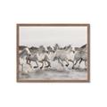 Picture of Horses Running in Water _GroupedProduct_Rectangle_Landscape_Photography _GroupedProduct_Rectangle_Landscape_Framed_Matted_