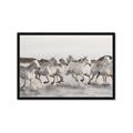 Picture of Horses Running in Water _GroupedProduct_Rectangle_Landscape_Photography _GroupedProduct_Rectangle_Landscape_Framed_Matted_