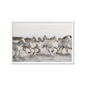 Picture of Horses Running in Water _GroupedProduct_Rectangle_Landscape_Photography _GroupedProduct_Rectangle_Landscape_Framed_Matted_
