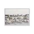 Picture of Horses Running in Water _GroupedProduct_Rectangle_Landscape_Photography _GroupedProduct_Rectangle_Landscape_Framed_Matted_