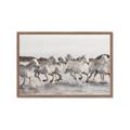 Picture of Horses Running in Water _GroupedProduct_Rectangle_Landscape_Photography _GroupedProduct_Rectangle_Landscape_Framed_Matted_