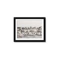 Picture of Horses Running in Water _GroupedProduct_Rectangle_Landscape_Photography _GroupedProduct_Rectangle_Landscape_Framed_Matted_