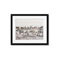 Picture of Horses Running in Water _GroupedProduct_Rectangle_Landscape_Photography _GroupedProduct_Rectangle_Landscape_Framed_Matted_