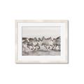 Picture of Horses Running in Water _GroupedProduct_Rectangle_Landscape_Photography _GroupedProduct_Rectangle_Landscape_Framed_Matted_