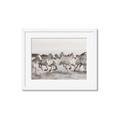 Picture of Horses Running in Water _GroupedProduct_Rectangle_Landscape_Photography _GroupedProduct_Rectangle_Landscape_Framed_Matted_