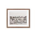 Picture of Horses Running in Water _GroupedProduct_Rectangle_Landscape_Photography _GroupedProduct_Rectangle_Landscape_Framed_Matted_