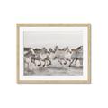 Picture of Horses Running in Water _GroupedProduct_Rectangle_Landscape_Photography _GroupedProduct_Rectangle_Landscape_Framed_Matted_