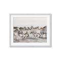 Picture of Horses Running in Water _GroupedProduct_Rectangle_Landscape_Photography _GroupedProduct_Rectangle_Landscape_Framed_Matted_