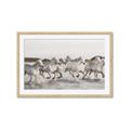 Picture of Horses Running in Water _GroupedProduct_Rectangle_Landscape_Photography _GroupedProduct_Rectangle_Landscape_Framed_Matted_