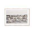 Picture of Horses Running in Water _GroupedProduct_Rectangle_Landscape_Photography _GroupedProduct_Rectangle_Landscape_Framed_Matted_