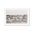 Picture of Horses Running in Water _GroupedProduct_Rectangle_Landscape_Photography _GroupedProduct_Rectangle_Landscape_Framed_Matted_
