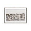 Picture of Horses Running in Water _GroupedProduct_Rectangle_Landscape_Photography _GroupedProduct_Rectangle_Landscape_Framed_Matted_