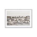 Picture of Horses Running in Water _GroupedProduct_Rectangle_Landscape_Photography _GroupedProduct_Rectangle_Landscape_Framed_Matted_