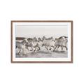 Picture of Horses Running in Water _GroupedProduct_Rectangle_Landscape_Photography _GroupedProduct_Rectangle_Landscape_Framed_Matted_
