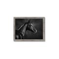 Picture of Black Beauty _GroupedProduct_Rectangle_Landscape_Photography _GroupedProduct_Rectangle_Landscape_Framed_Matted_