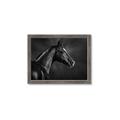 Picture of Black Beauty _GroupedProduct_Rectangle_Landscape_Photography _GroupedProduct_Rectangle_Landscape_Framed_Matted_