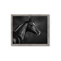 Picture of Black Beauty _GroupedProduct_Rectangle_Landscape_Photography _GroupedProduct_Rectangle_Landscape_Framed_Matted_
