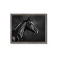 Picture of Black Beauty _GroupedProduct_Rectangle_Landscape_Photography _GroupedProduct_Rectangle_Landscape_Framed_Matted_