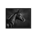 Picture of Black Beauty _GroupedProduct_Rectangle_Landscape_Photography _GroupedProduct_Rectangle_Landscape_Framed_Matted_