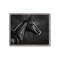 Picture of Black Beauty _GroupedProduct_Rectangle_Landscape_Photography _GroupedProduct_Rectangle_Landscape_Framed_Matted_