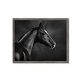 Picture of Black Beauty _GroupedProduct_Rectangle_Landscape_Photography _GroupedProduct_Rectangle_Landscape_Framed_Matted_
