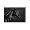 Picture of Black Beauty _GroupedProduct_Rectangle_Landscape_Photography _GroupedProduct_Rectangle_Landscape_Framed_Matted_
