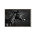 Picture of Black Beauty _GroupedProduct_Rectangle_Landscape_Photography _GroupedProduct_Rectangle_Landscape_Framed_Matted_