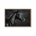 Picture of Black Beauty _GroupedProduct_Rectangle_Landscape_Photography _GroupedProduct_Rectangle_Landscape_Framed_Matted_