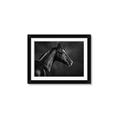 Picture of Black Beauty _GroupedProduct_Rectangle_Landscape_Photography _GroupedProduct_Rectangle_Landscape_Framed_Matted_