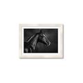 Picture of Black Beauty _GroupedProduct_Rectangle_Landscape_Photography _GroupedProduct_Rectangle_Landscape_Framed_Matted_