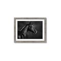 Picture of Black Beauty _GroupedProduct_Rectangle_Landscape_Photography _GroupedProduct_Rectangle_Landscape_Framed_Matted_