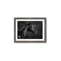 Picture of Black Beauty _GroupedProduct_Rectangle_Landscape_Photography _GroupedProduct_Rectangle_Landscape_Framed_Matted_