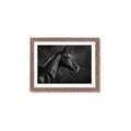 Picture of Black Beauty _GroupedProduct_Rectangle_Landscape_Photography _GroupedProduct_Rectangle_Landscape_Framed_Matted_
