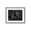 Picture of Black Beauty _GroupedProduct_Rectangle_Landscape_Photography _GroupedProduct_Rectangle_Landscape_Framed_Matted_
